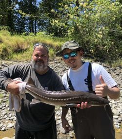 White Sturgeon fish caught while fishing in OR