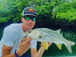 Snook in Jensen Beach, FL