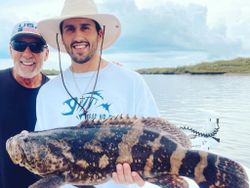 Florida Goliath Grouper in Jensen Beach