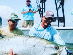 Tarpon in Jensen Beach, FL