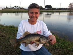 Largemouth Bass in Jensen Beach, FL