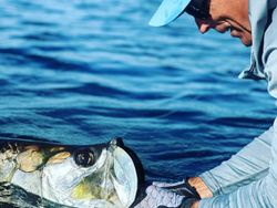 Exciting Jensen Beach Fishing!