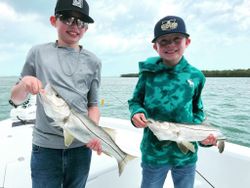 Snook from Jensen Beach, FL 