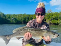 Speckled Trout from Jensen Beach, FL