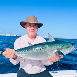 Stuart/ Jensen Bch Fl Bonito bite nearshore! 