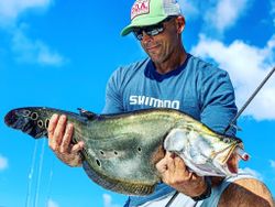 Florida Clown Knifefish in Jensen Beach