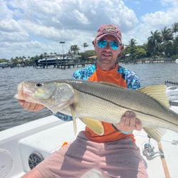 Snook central in Jensen Beach