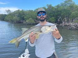 Snook galore in Jensen Beach, FL