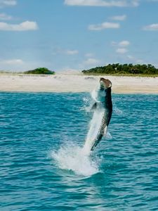 Fishing in Florida