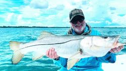Snook fish caught at Jensen Beach