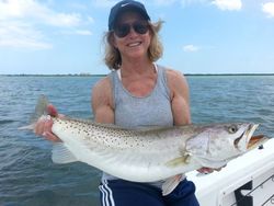 Spotted Weakfish, 30-inch fish, caught while fishing in Jensen Beach