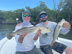 Two spotted weakfish and snook caught while fishing at Jensen Beach
