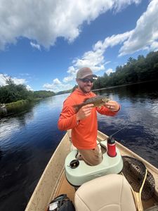 Smallmouth bass caught during fishing charter in South Portland Maine