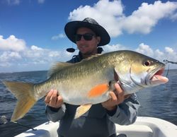 Fish-Species