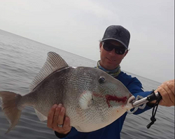 Catch of the day: Grey Triggerfish, 22 inches, New Smyrna Beach