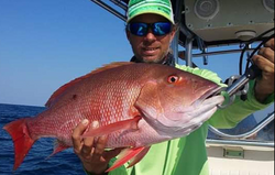 Mutton snapper fish caught at New Smyrna Beach