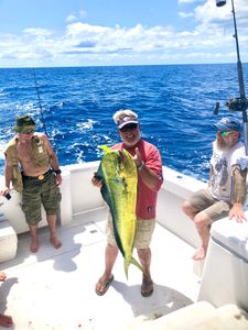 Mahi Mahi fish caught by fishermen in NC