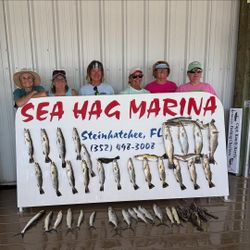 8 fish caught in Steinhatchee by anglers