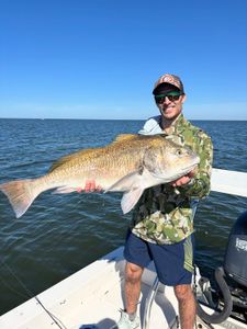 Black drum caught while fishing in FL
