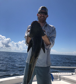 Cobia fishing in FL