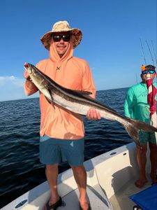 A single cobia fish caught while fishing in Steinhatchee