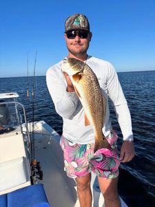 Redfish caught in Steinhatchee while fishing
