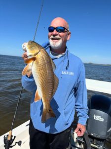 Redfish caught while fishing in Steinhatchee