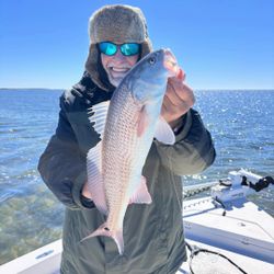 Angler holding large redfish caught in Steinhatchee FL waters