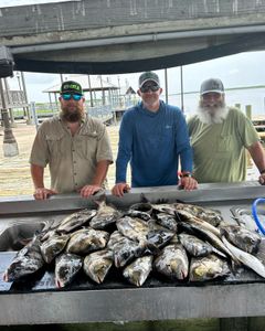 Chasing dreams and fish in Lake Charles