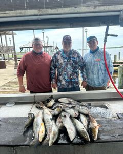 Fish tales and Lake Charles sunsets