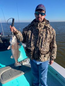 Calcasieu Lake Fishing