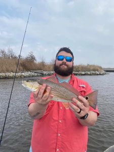 Louisiana Redfish Fly Fishing