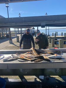 Louisiana Redfish Charters