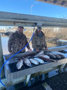 Louisiana Fishing Trips