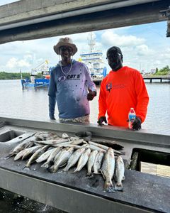 Lake Charles: The ultimate fishing spot