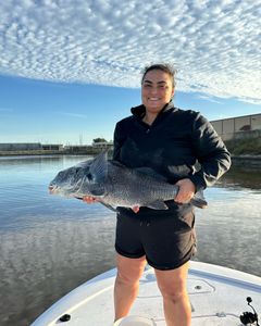 Awesome Black Drum Catch of the day!!