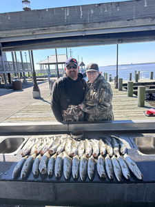 Caught some nice ones by the water!