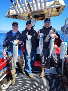 4 large fish caught in Pacific City during fishing trip