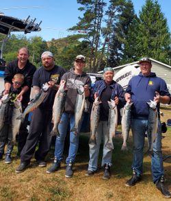7 coho salmon, rainbow trout, chinook salmon, and chub mackerel caught in Pacific City