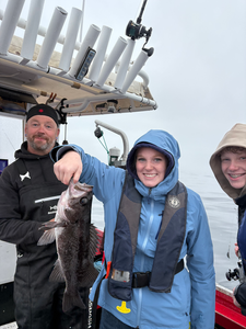 Nice Black Rockfish from the boat today!