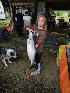 Chinook salmon caught in Pacific City by fishing