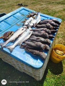 Two fish caught while fishing in Oregon
