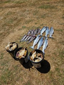 Scenic landscape in OR with fishing gear