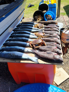 Black rockfish and crabs from Oregon Coast trolling success!