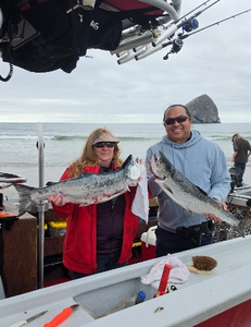 Fresh Oregon Coast Coho Salmon ready for the cooler!
