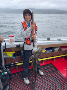 Beautiful Oregon Coast lingcod caught while trolling today!