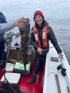 Massive Oregon Coast lingcod caught while trolling!