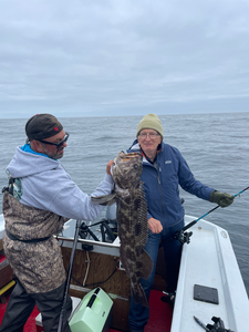 Trophy Oregon Coast lingcod caught trolling!