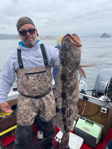 Massive Oregon Coast lingcod from a successful trolling trip!