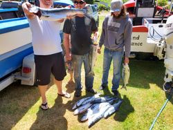 Three rainbow trout caught fishing in Pacific City